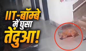 IIT-बॉम्बे कैंपस में घुसा तेंदुआ, CCTV में कैद&hellip;